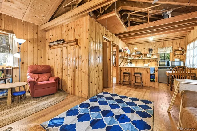 a living room with furniture and a rug