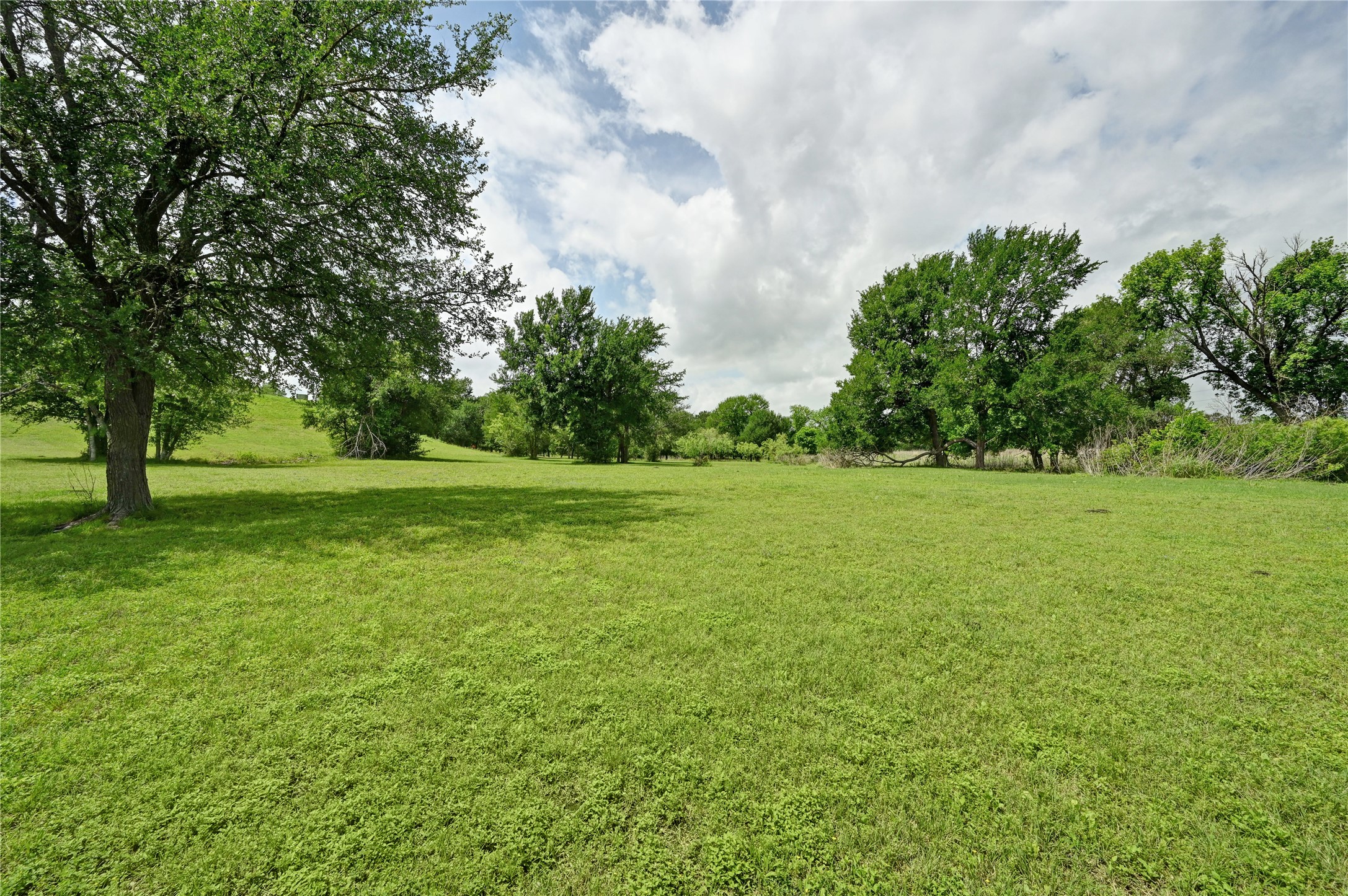 1700 Tanner Loop Taylor, TX 76574 - Photo 17 of 32 Expansive grassy field with mature trees providing partial shade