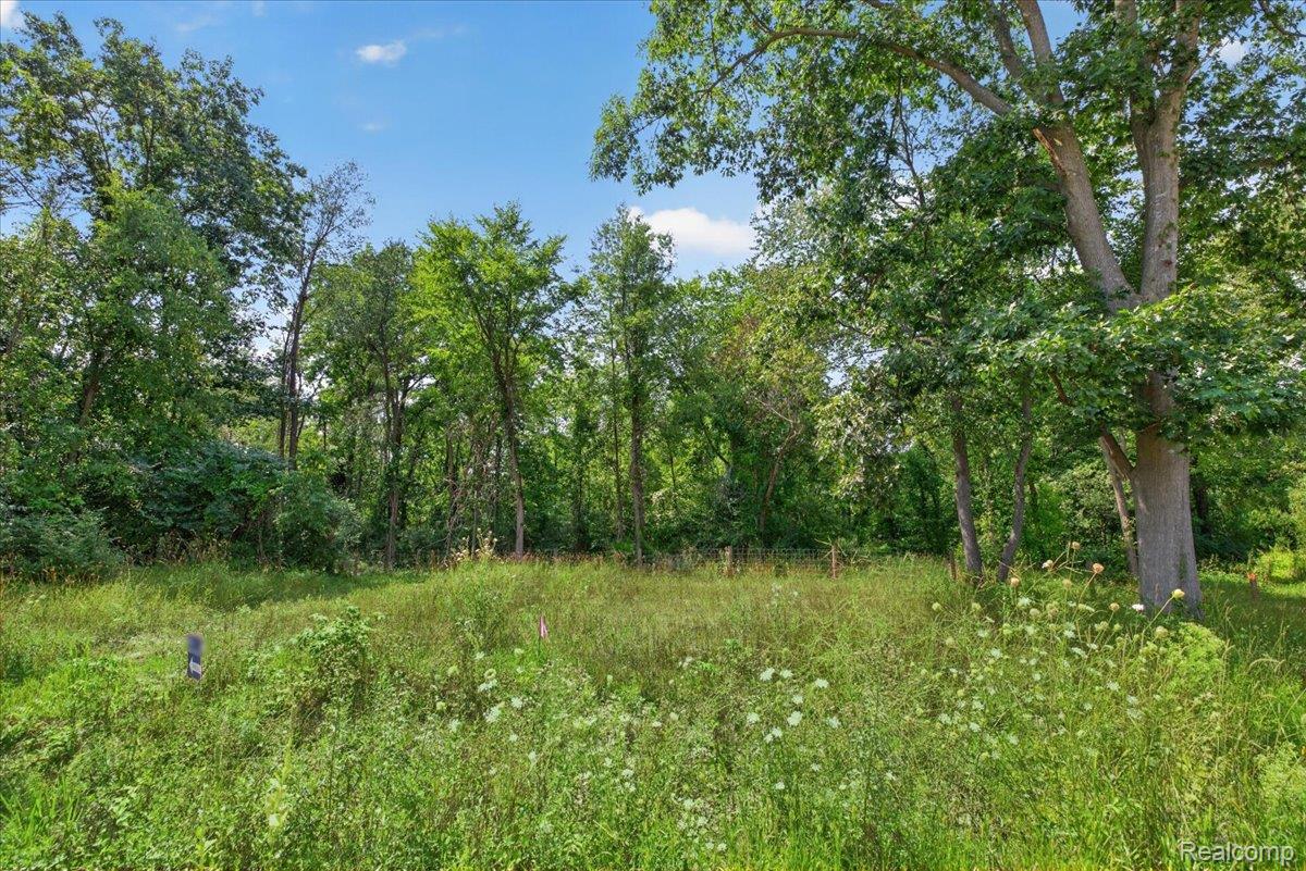5000 Metamora Ridge Road Metamora, MI 48455 - Photo 22 of 23 14-2026.08.10_Acloutier_5000-5005Metamoraridge409.jpg
