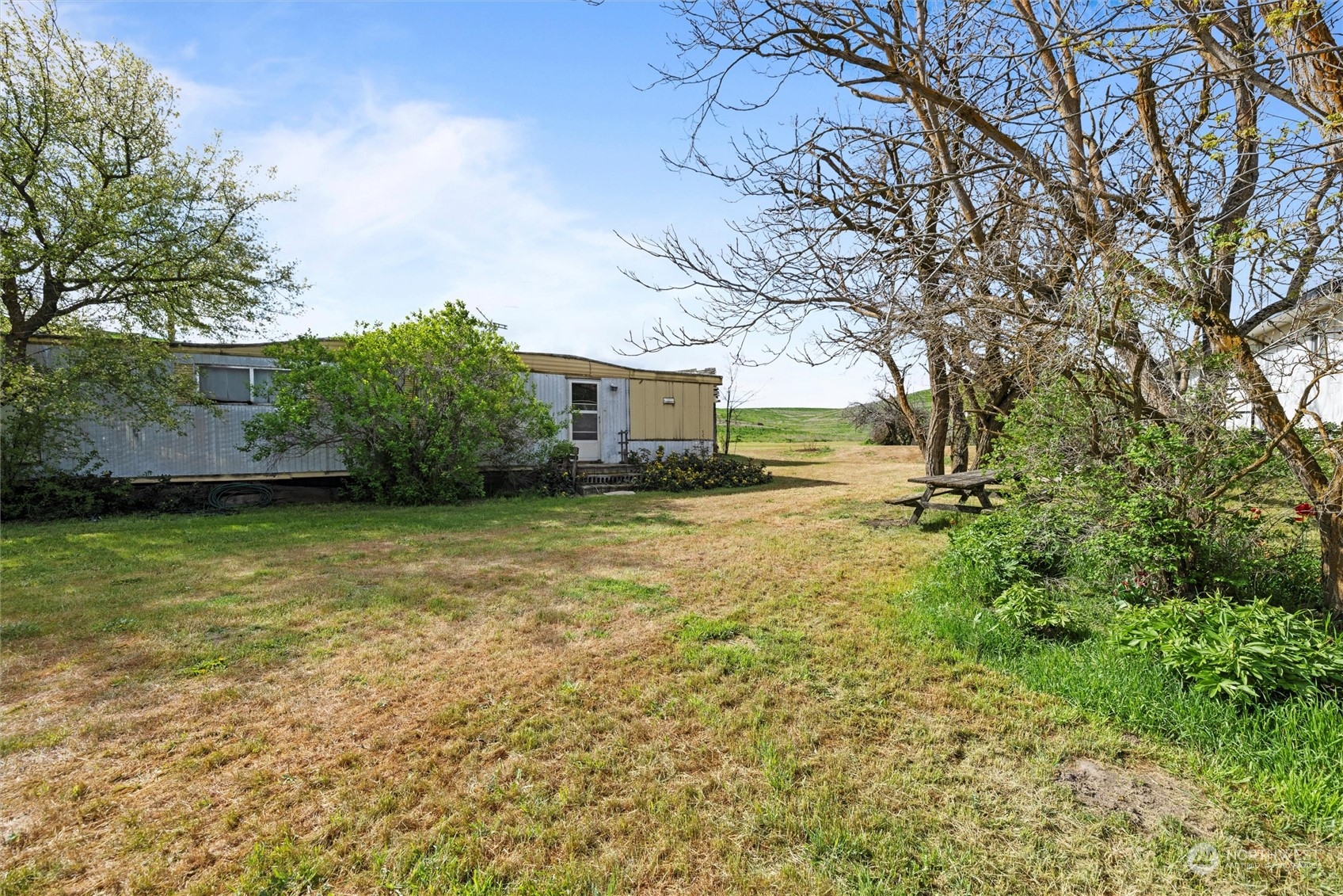 1898 Badger Hollow Road Prescott, WA 99348 - Photo 16 of 39 Gallery Image 16