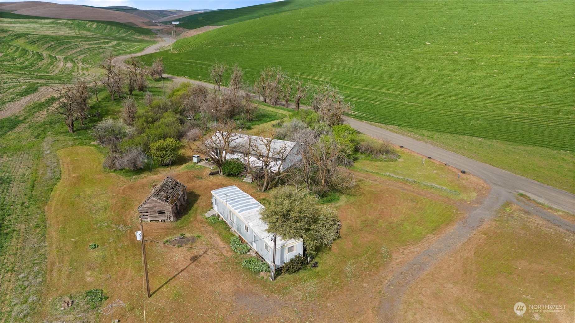 1898 Badger Hollow Road Prescott, WA 99348 - Photo 2 of 39 Gallery Image 2