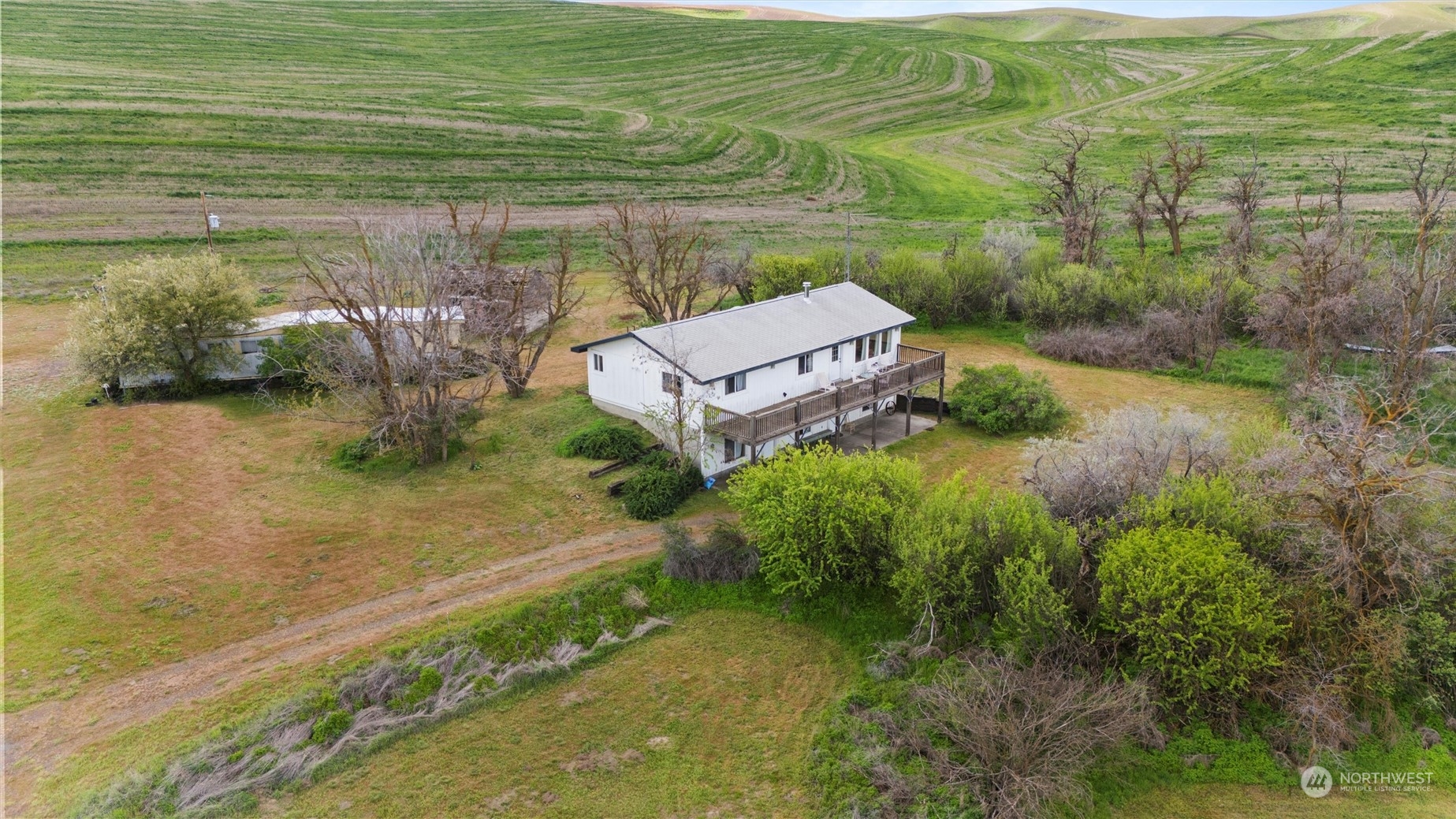 1898 Badger Hollow Road Prescott, WA 99348 - Photo 9 of 39 Gallery Image 9