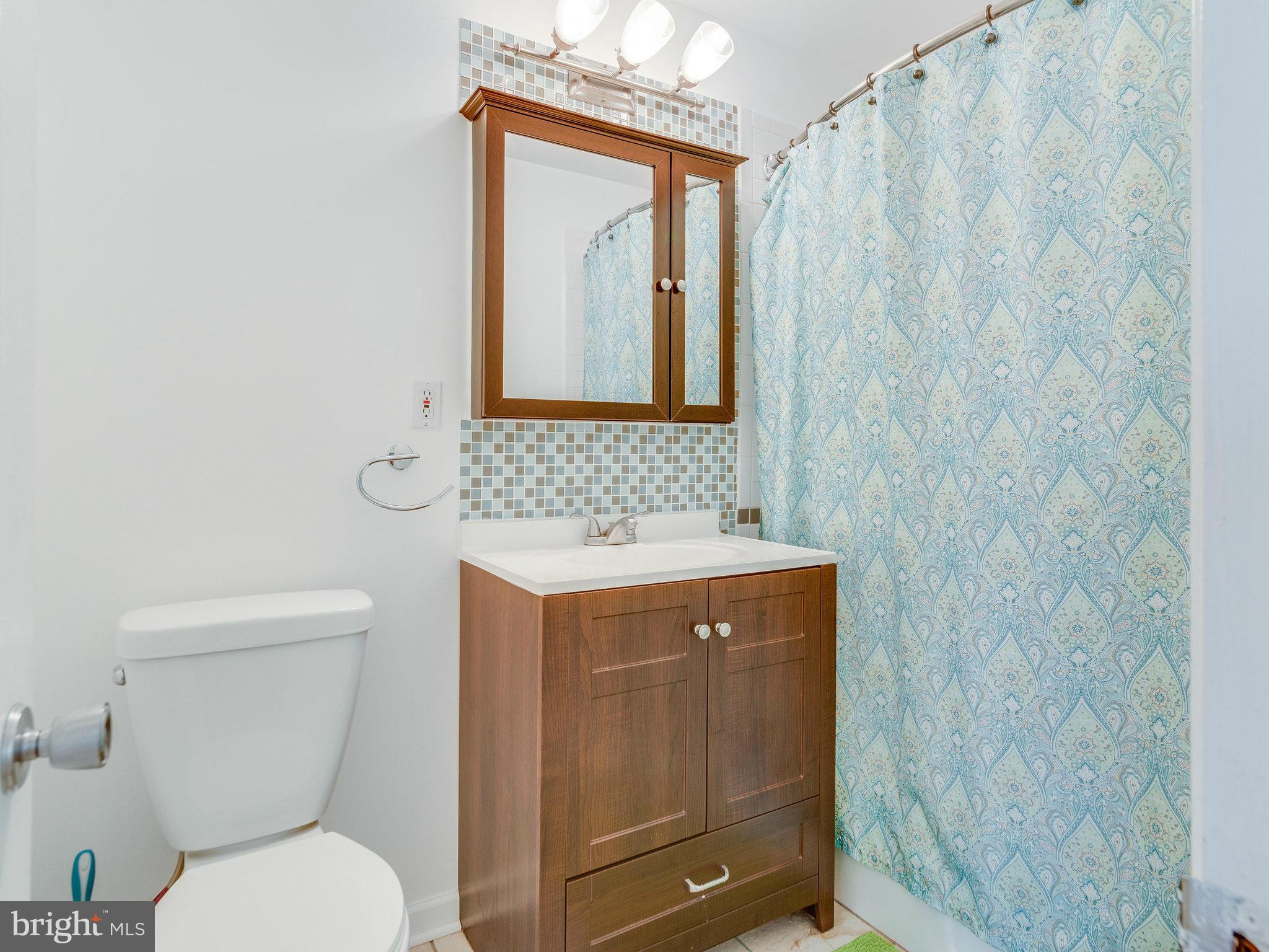 2255 Coppersmith Square Reston, VA 20191 - Photo 22 of 30 Bath