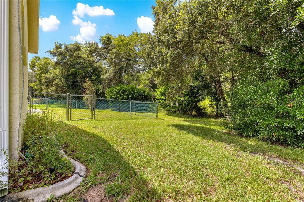 10884 Southwest 53rd Circle Ocala, FL 34476 - Photo 43 of 57 a view of a backyard with swimming pool