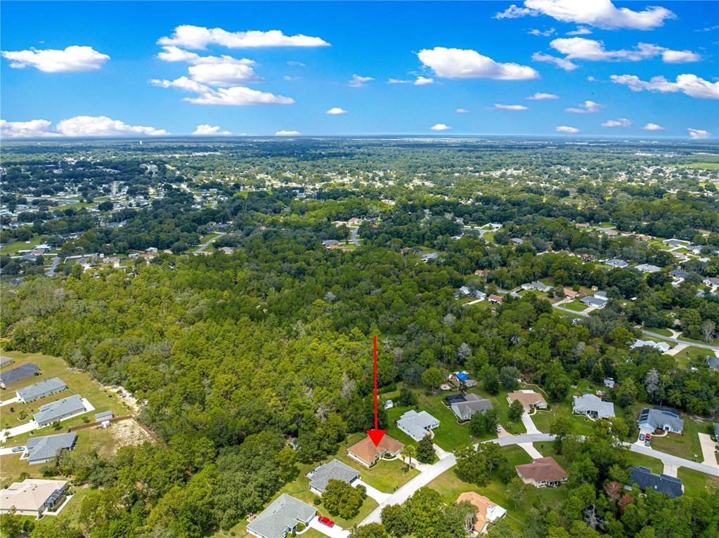 10884 Southwest 53rd Circle Ocala, FL 34476 - Photo 56 of 57