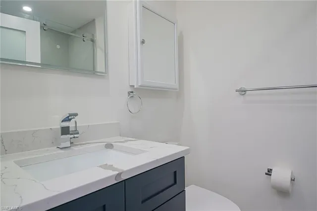 a bathroom with a sink toilet and vanity