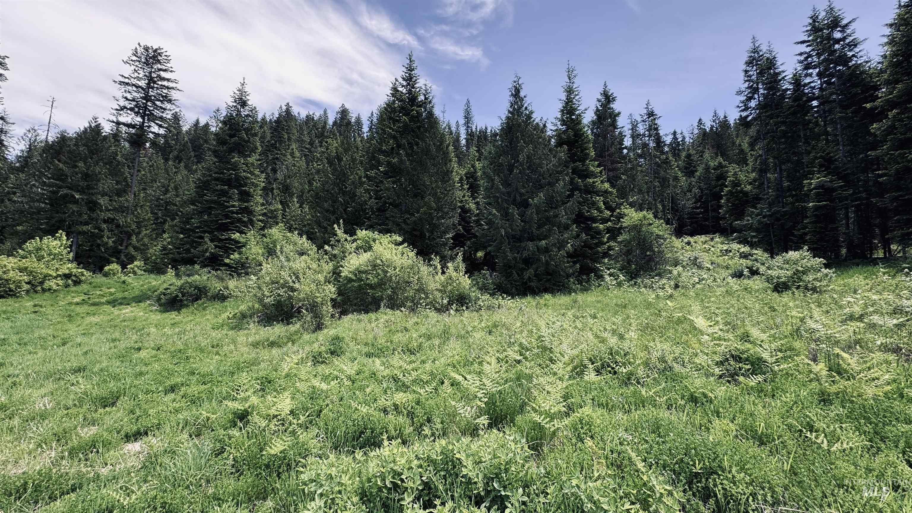 Tbd Glenwood Road Kamiah, ID 83536 - Photo 43 of 50