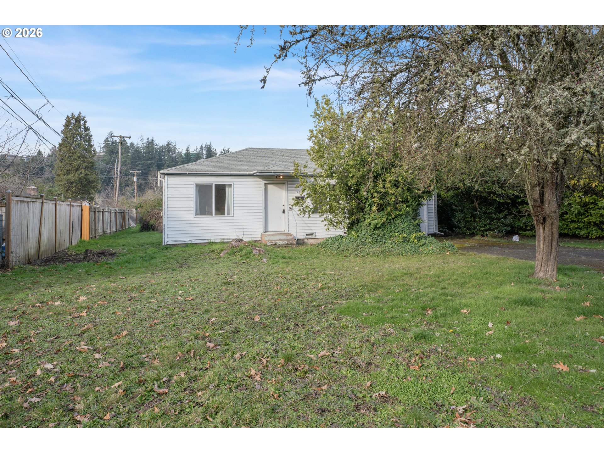 930 1st Street Springfield, OR 97477 - Photo 4 of 43 a view of a backyard with large trees