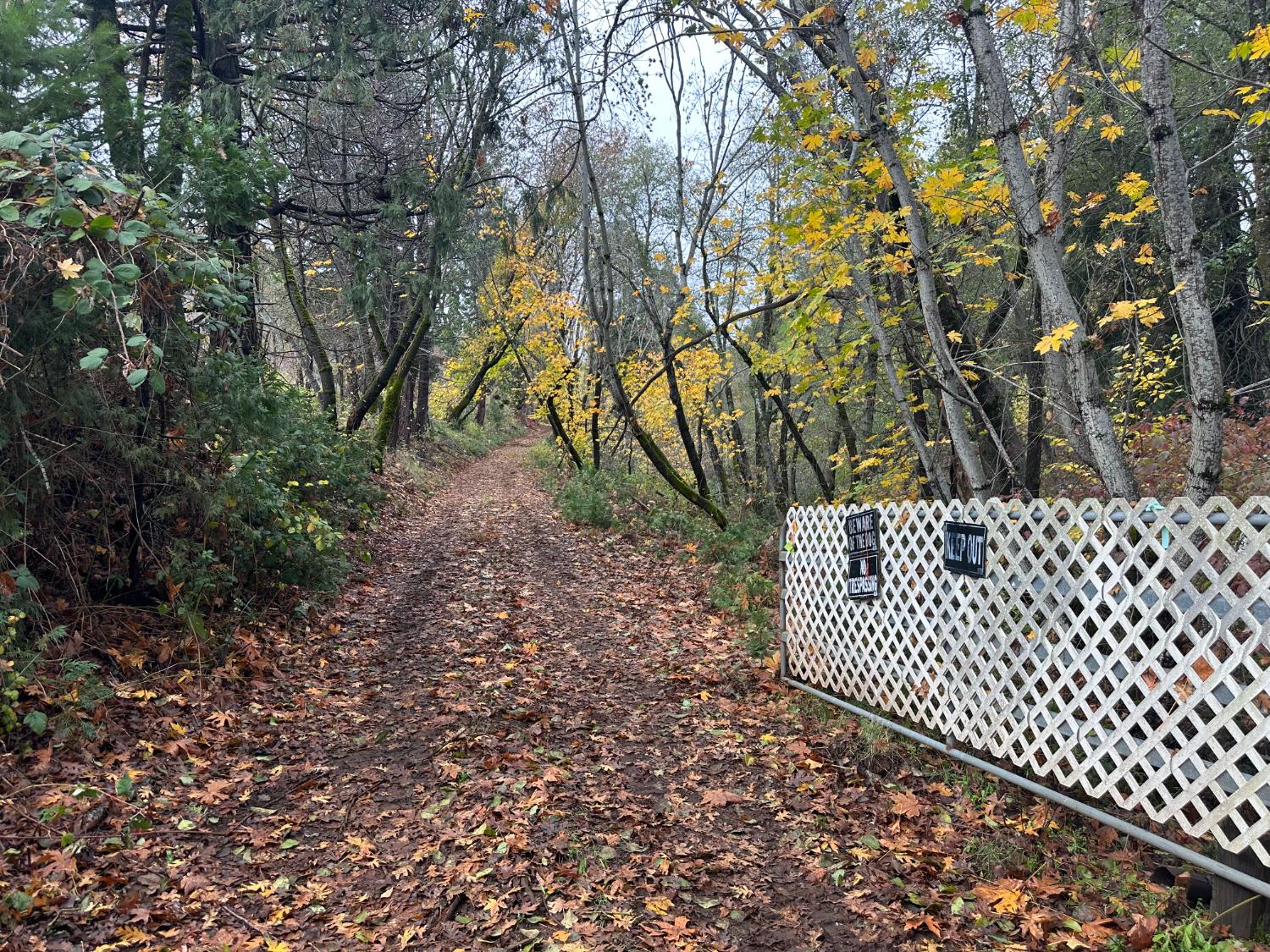 3300 Hassler Road Camino, CA 95709 - Photo 2 of 12 a view of a yard with plants and trees