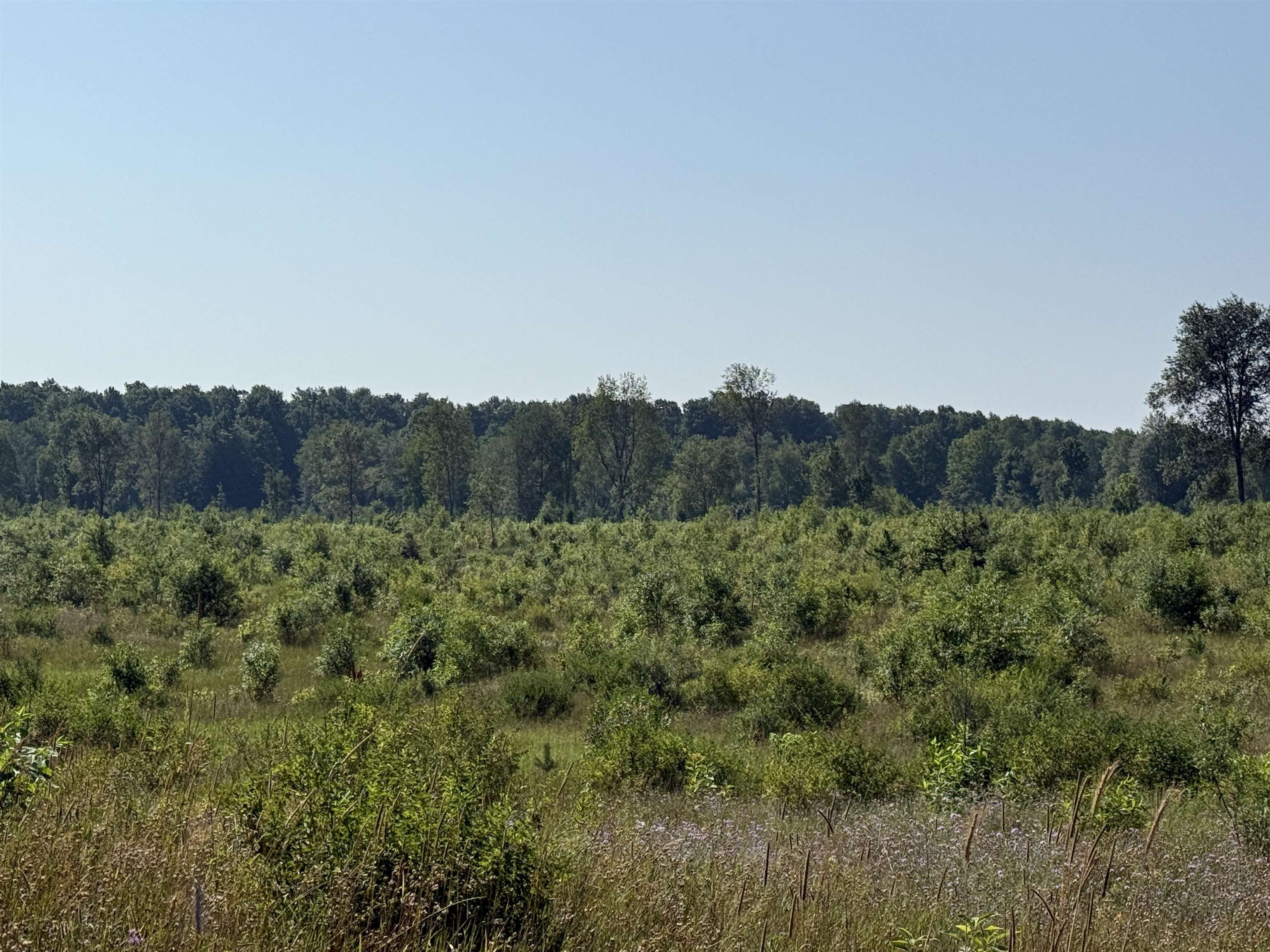 1 East Kasson Road, Unit LOT: A1 Maple City, MI 49664 - Photo 3 of 10