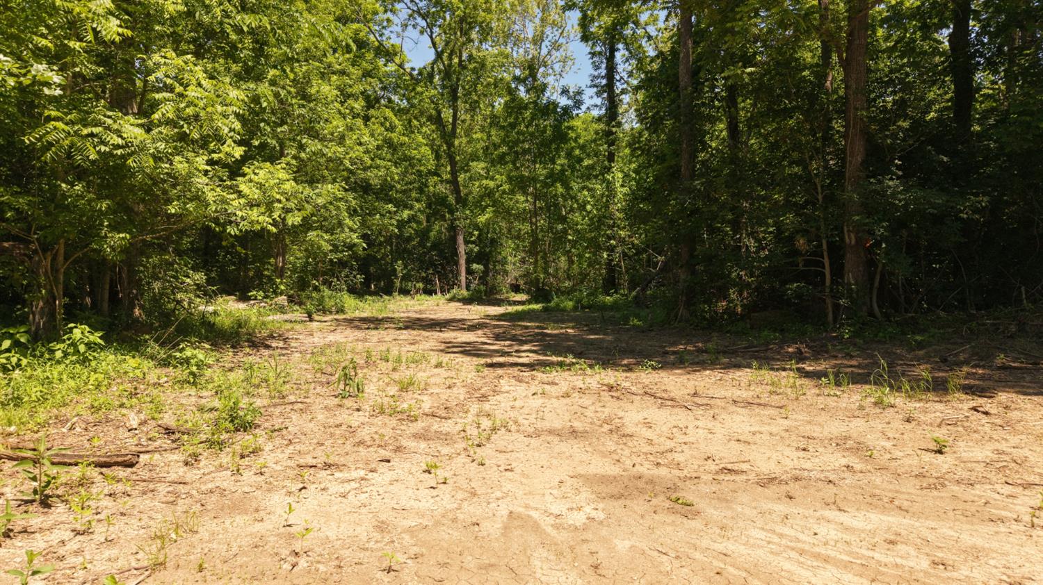 0 Co Road Versailles, IN 47042 - Photo 11 of 15