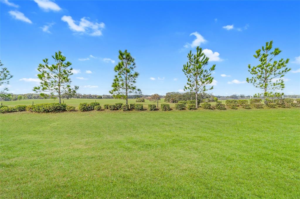 9435 Southwest 52nd Loop Ocala, FL 34481 - Photo 42 of 62