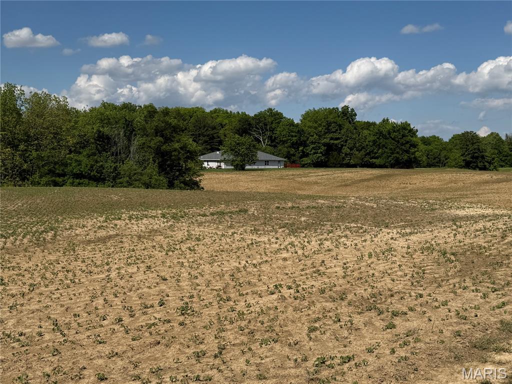 4157 Wetzler Road Fults, IL 62244 - Photo 13 of 48 Gallery Image 13