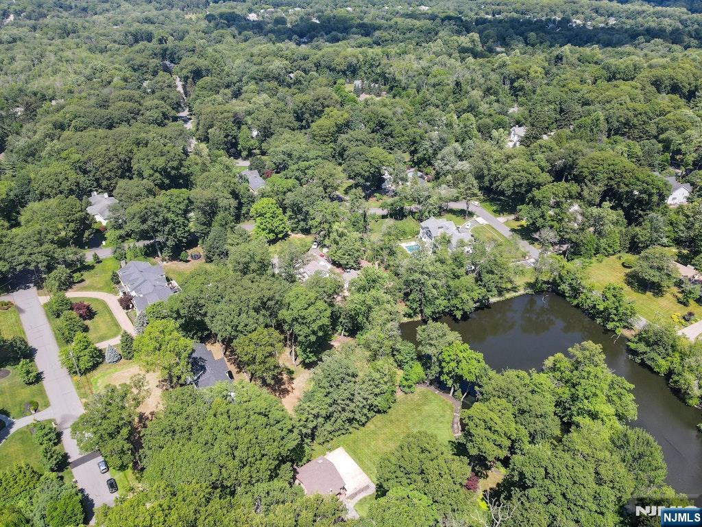 263 Arbor Road Franklin Lakes, NJ 07417 - Photo 7 of 49
