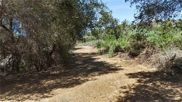 a view of a dirt road with trees in the background