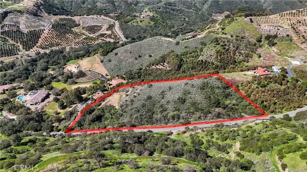 a view of a yard with flowers