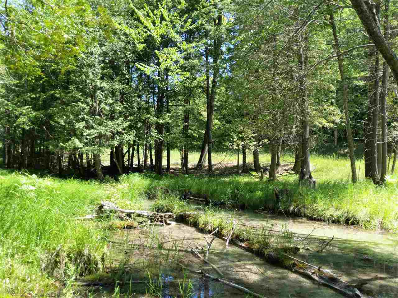 Burnt Mill Road Interlochen, MI 49643 - Photo 18 of 25 1863508-17.JPG