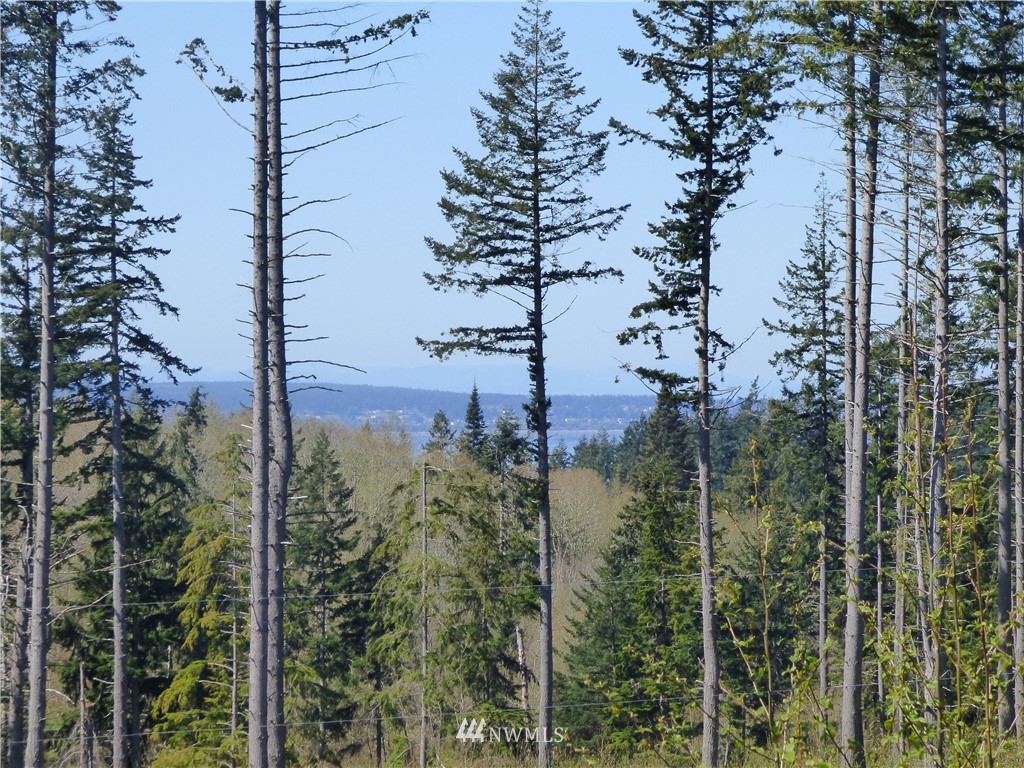 0 South Camano Ridge Road Camano Island, WA 98282 - Photo 1 of 14 Gallery Image 1