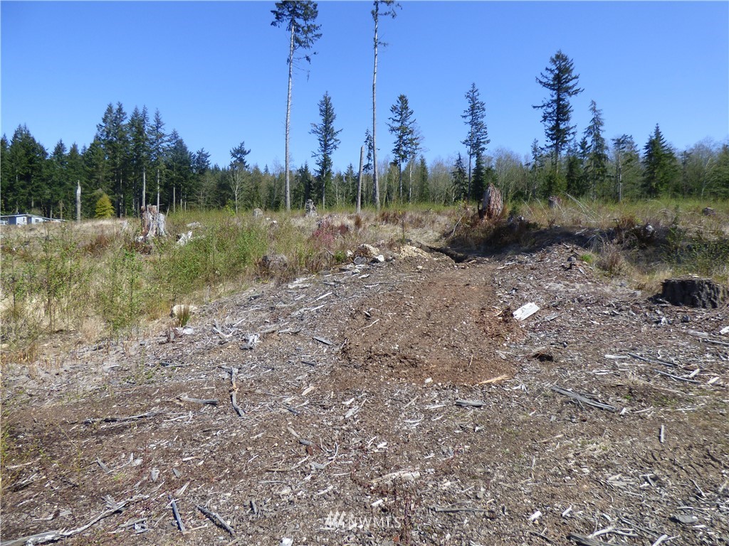 0 South Camano Ridge Road Camano Island, WA 98282 - Photo 11 of 14 Gallery Image 11