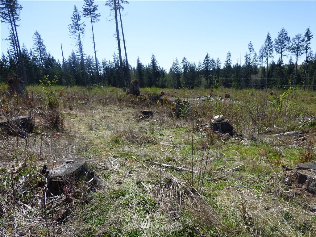 0 South Camano Ridge Road Camano Island, WA 98282 - Photo 12 of 14 Gallery Image 12