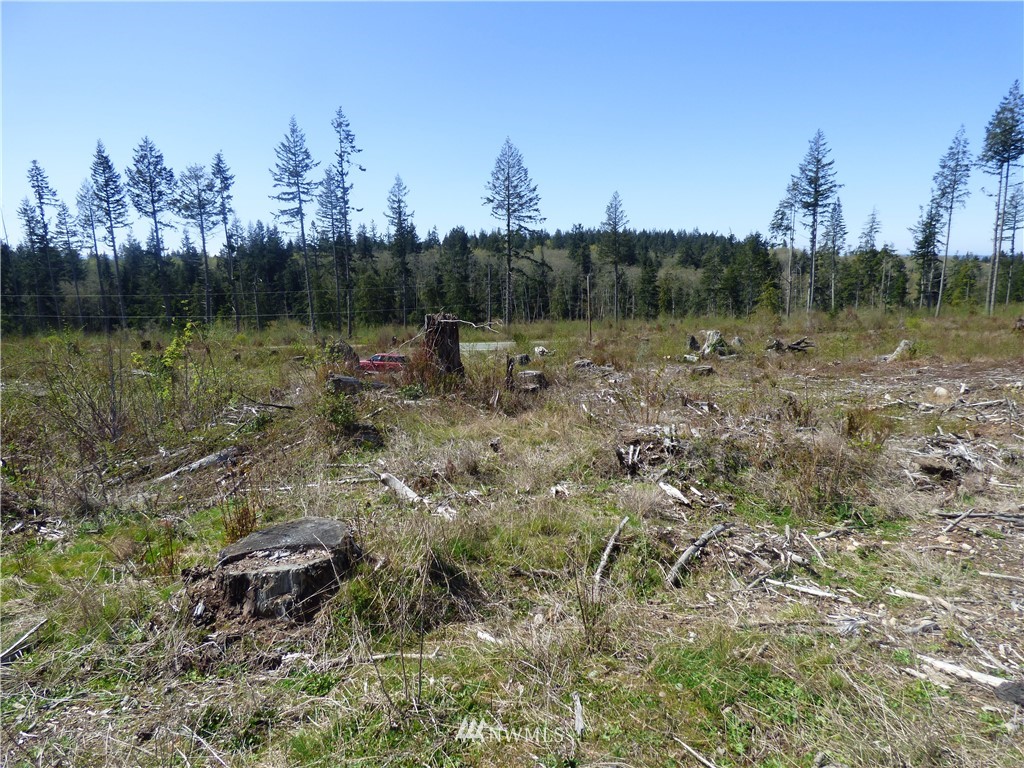 0 South Camano Ridge Road Camano Island, WA 98282 - Photo 13 of 14 Gallery Image 13