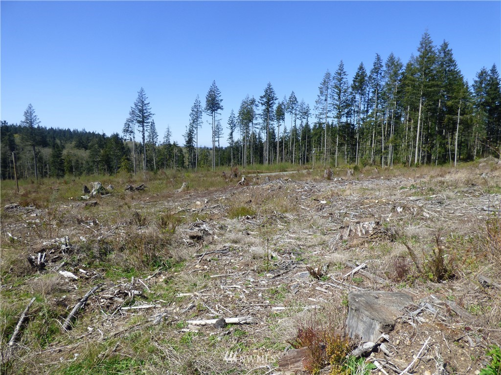 0 South Camano Ridge Road Camano Island, WA 98282 - Photo 14 of 14 Gallery Image 14