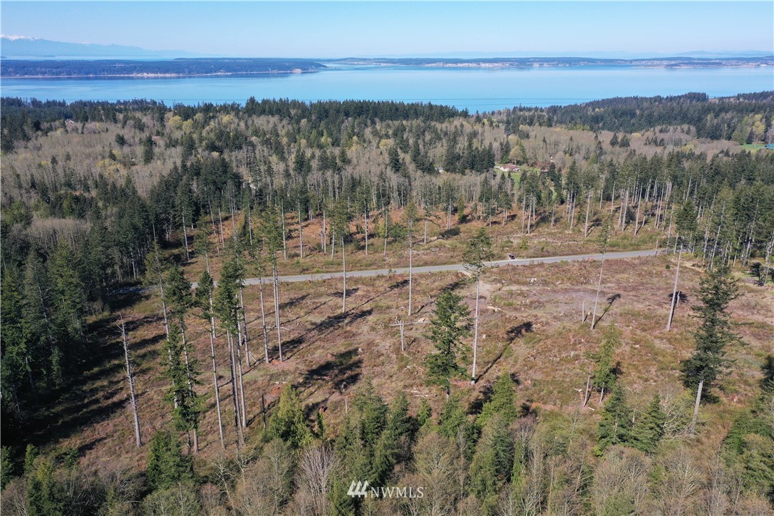 0 South Camano Ridge Road Camano Island, WA 98282 - Photo 3 of 14 Gallery Image 3