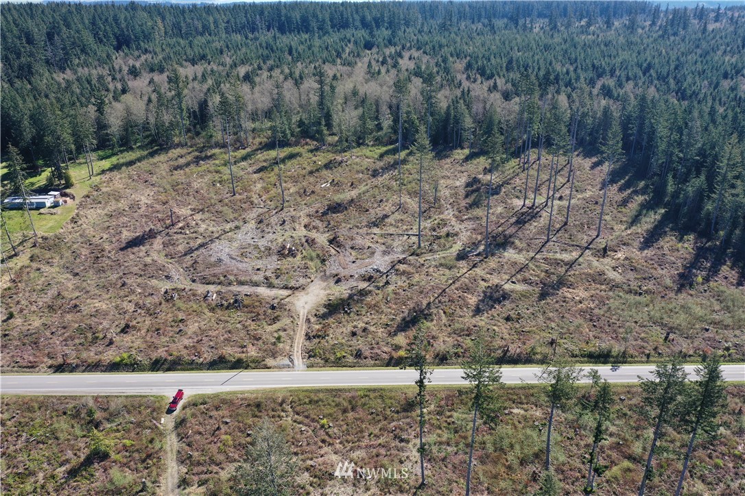 0 South Camano Ridge Road Camano Island, WA 98282 - Photo 4 of 14 Gallery Image 4