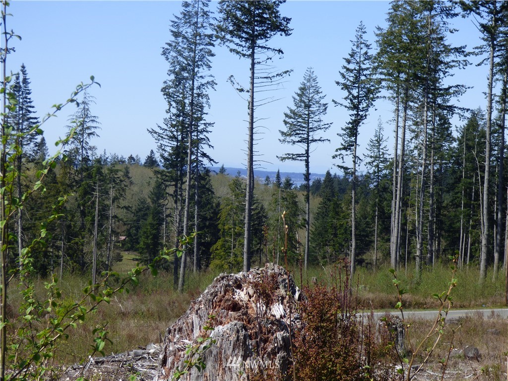 0 South Camano Ridge Road Camano Island, WA 98282 - Photo 8 of 14 Gallery Image 8