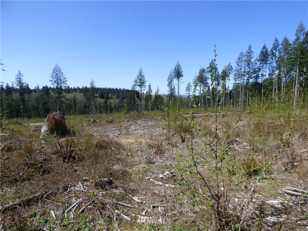 0 South Camano Ridge Road Camano Island, WA 98282 - Photo 9 of 14 Gallery Image 9