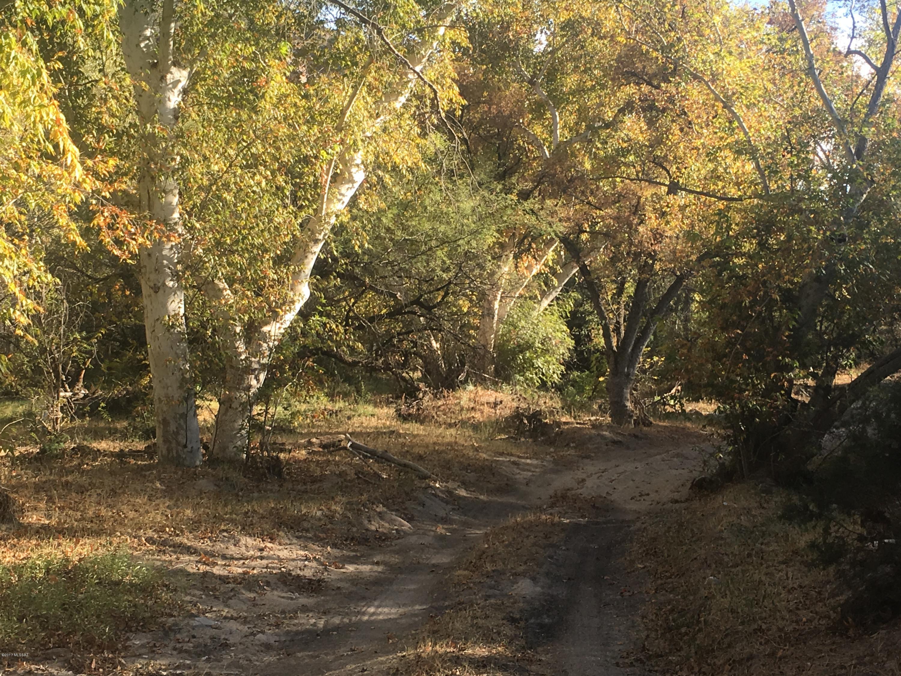 Carpenter Springs Road Benson, AZ 85602 - Photo 5 of 26 Gallery Image 5