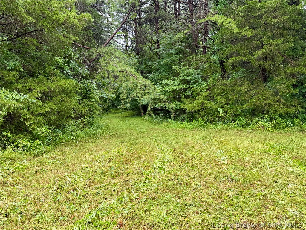 Pfister Road Otisco, IN 47163 - Photo 8 of 50
