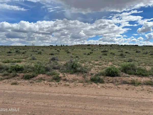 a view of a dry yard