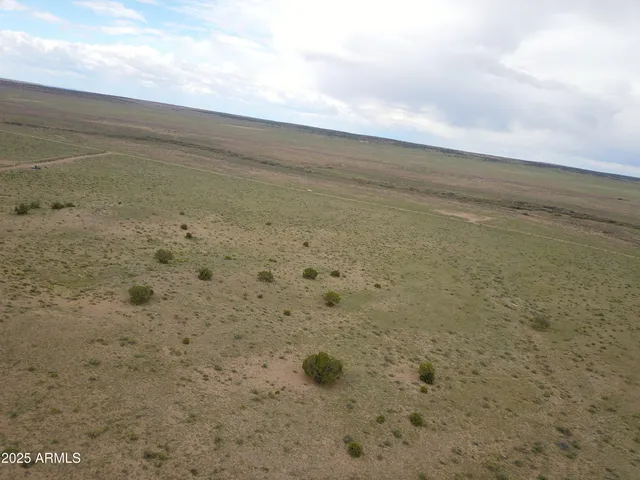 a view of a dry yard