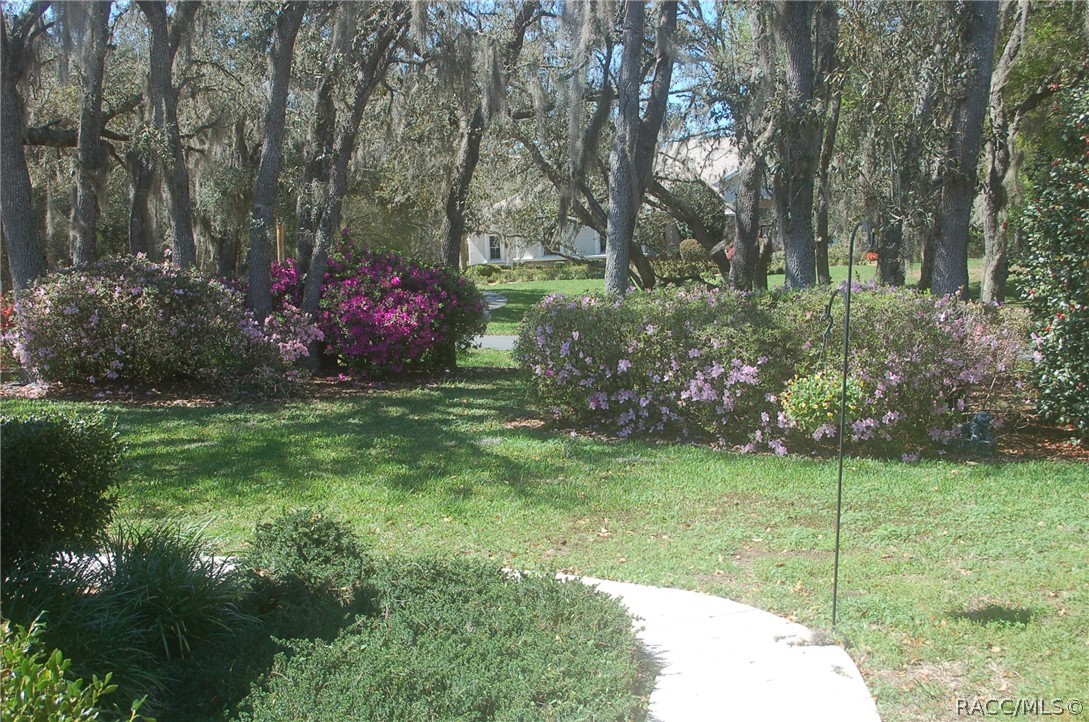 4161 North Longvalley Road Hernando, FL 34442 - Photo 64 of 71