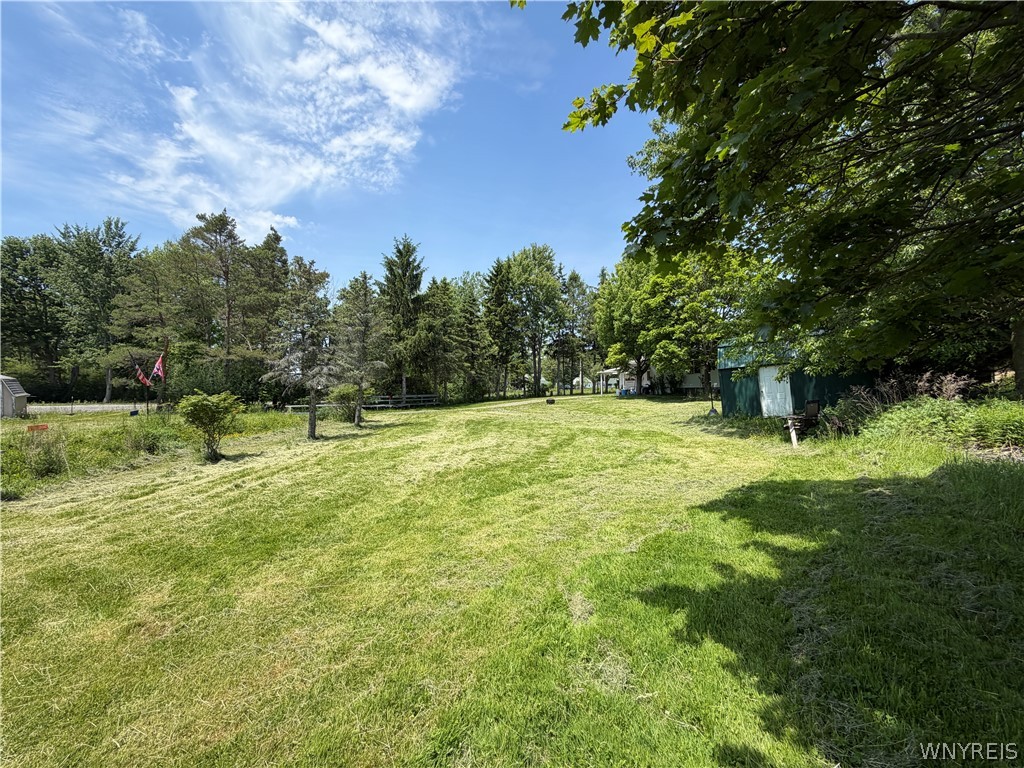 5255 Big Tree Road Orchard Park, NY 14127 - Photo 25 of 28