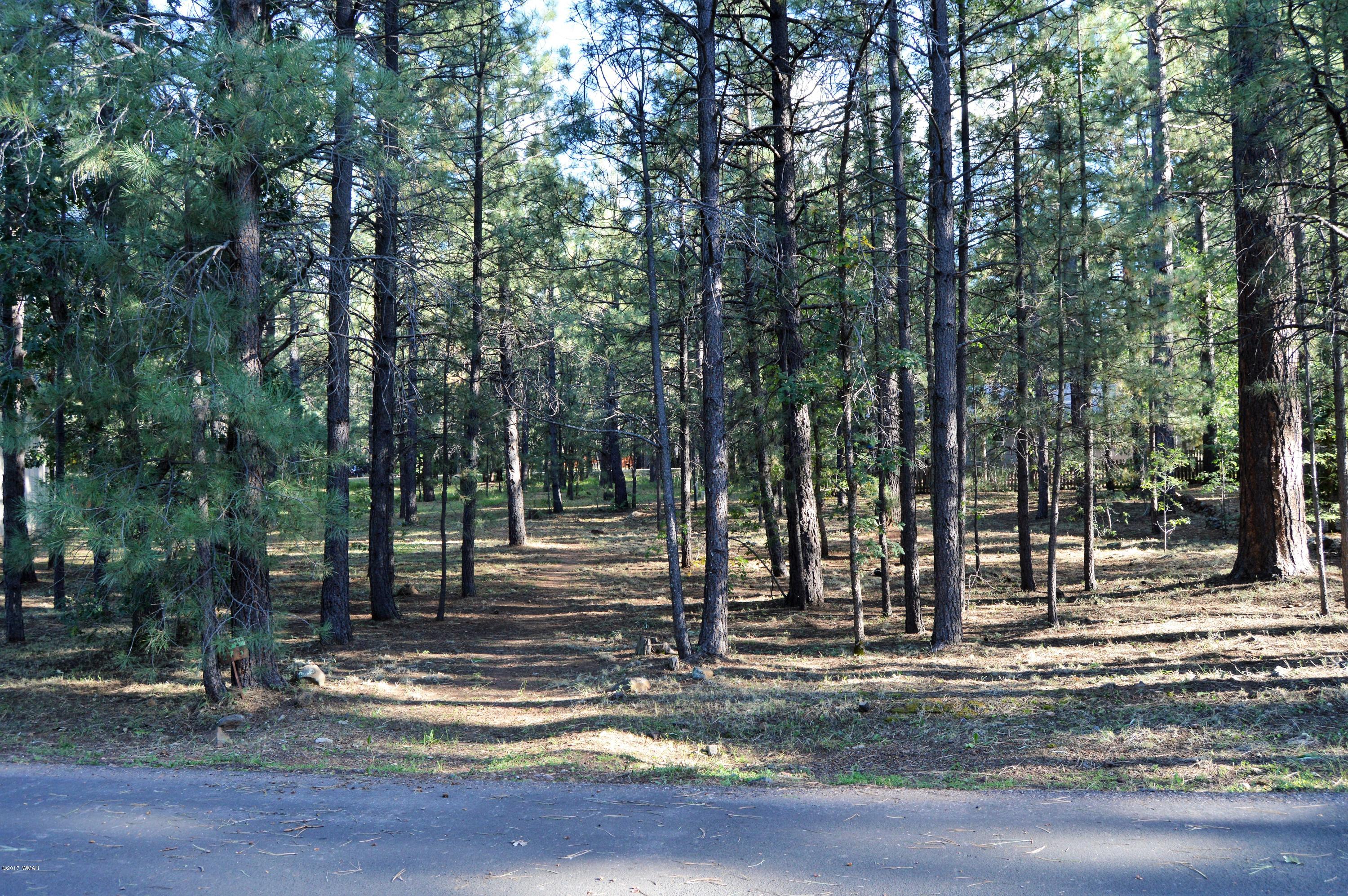 5003 Night Hawk Loop Pinetop, AZ 85935 - Photo 1 of 3 Gallery Image 1