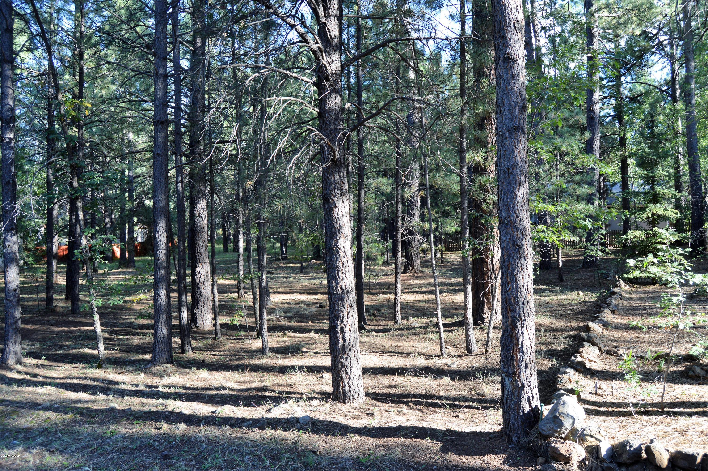 5003 Night Hawk Loop Pinetop, AZ 85935 - Photo 3 of 3 Gallery Image 3