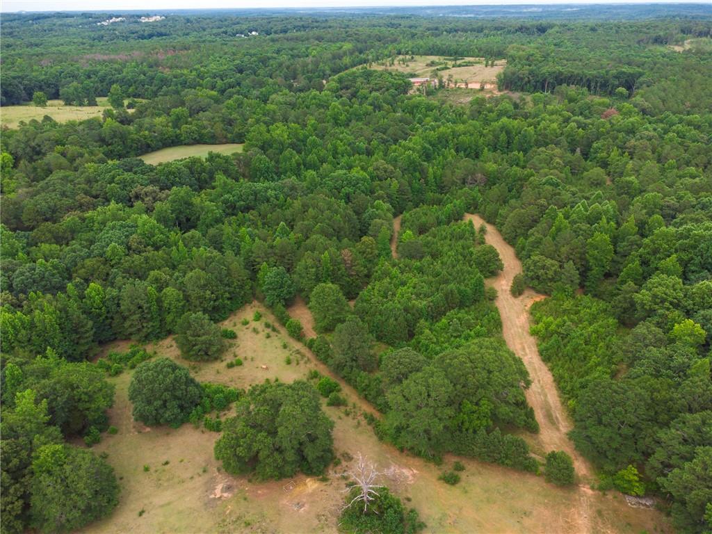 160 Cross Road Covington, GA 30016 - Photo 16 of 61