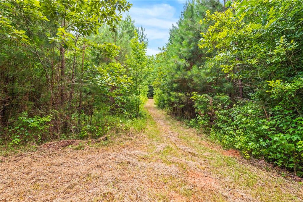 160 Cross Road Covington, GA 30016 - Photo 26 of 61