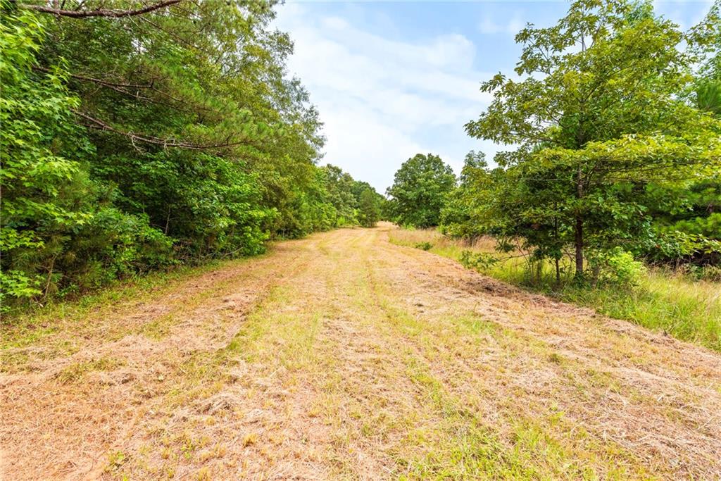 160 Cross Road Covington, GA 30016 - Photo 31 of 61