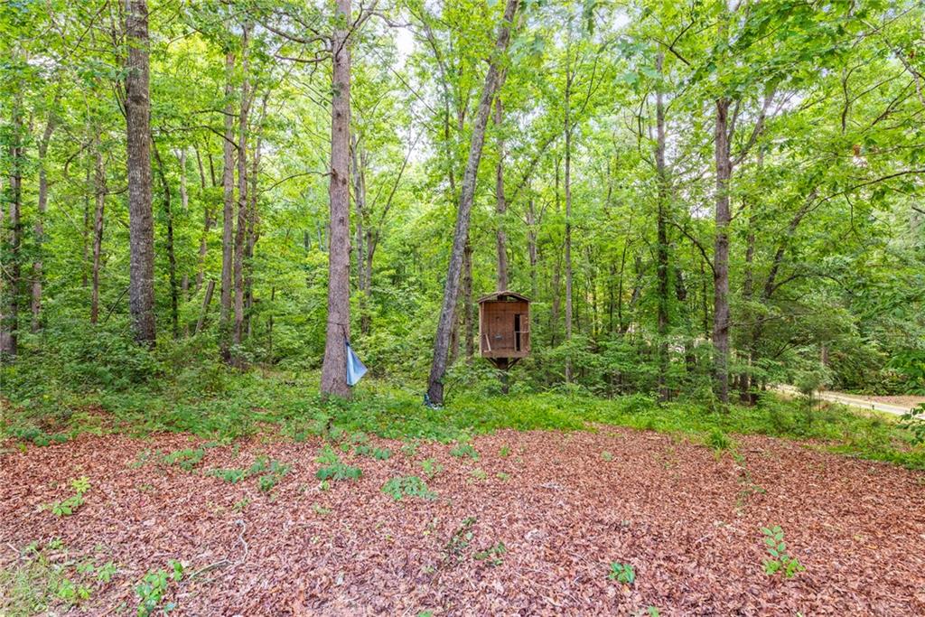 160 Cross Road Covington, GA 30016 - Photo 32 of 61