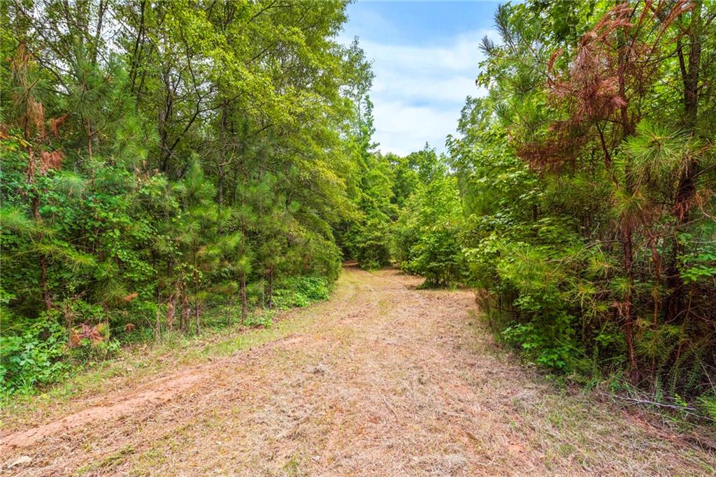 160 Cross Road Covington, GA 30016 - Photo 35 of 61