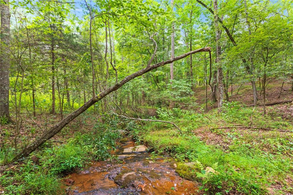 160 Cross Road Covington, GA 30016 - Photo 36 of 61