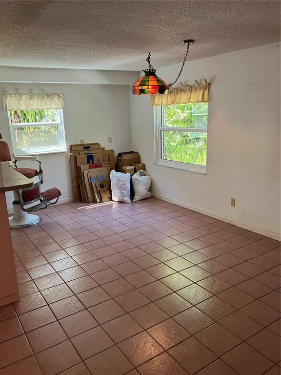 17010 Crawley Road Odessa, FL 33556 - Photo 10 of 18