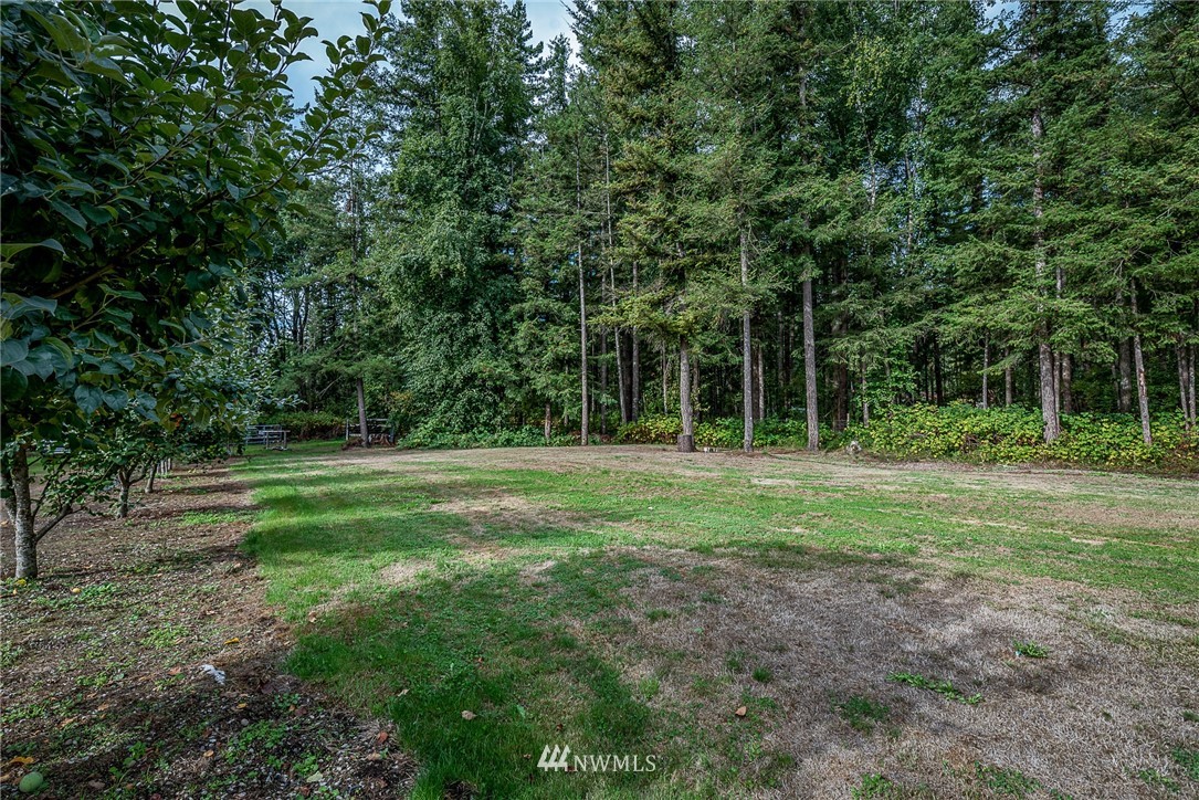 7586 Goodwin Road Everson, WA 98247 - Photo 21 of 22 a view of outdoor space with deck and yard