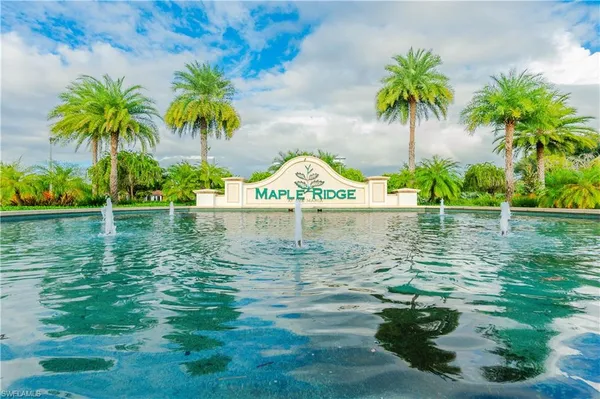 a view of a water fountain and palm trees