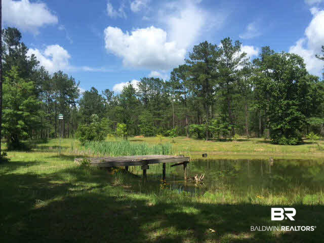 18619 Horseneck Road Bay Minette, AL 36507 - Photo 11 of 11
