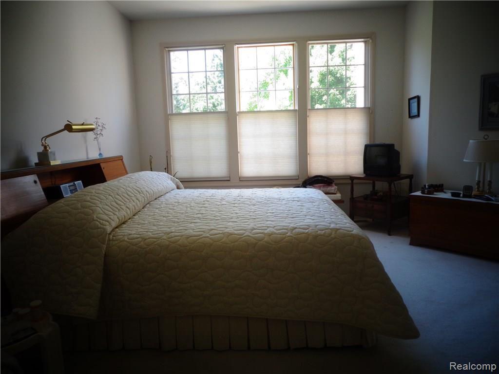 869 Garnet Court, Unit 54 Rochester, MI 48306 - Photo 9 of 14 Master Bdrm View.