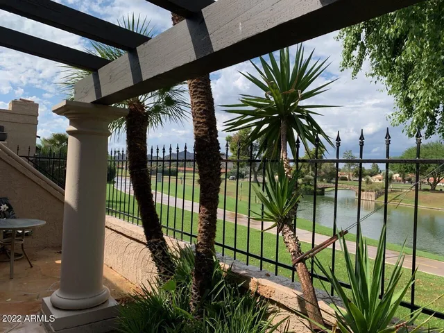 a view of a backyard with a garden and plants